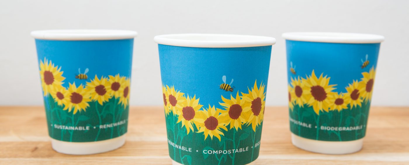 Ripplecups Summer Limited Edition Cups